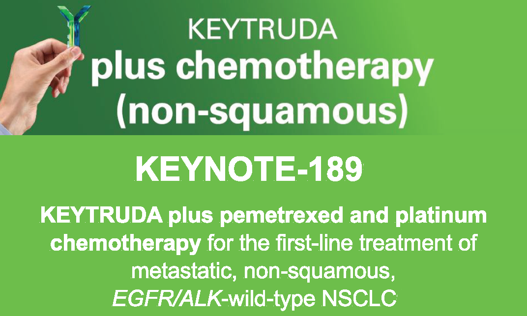 KEYNOTE-189 clinical data presentation