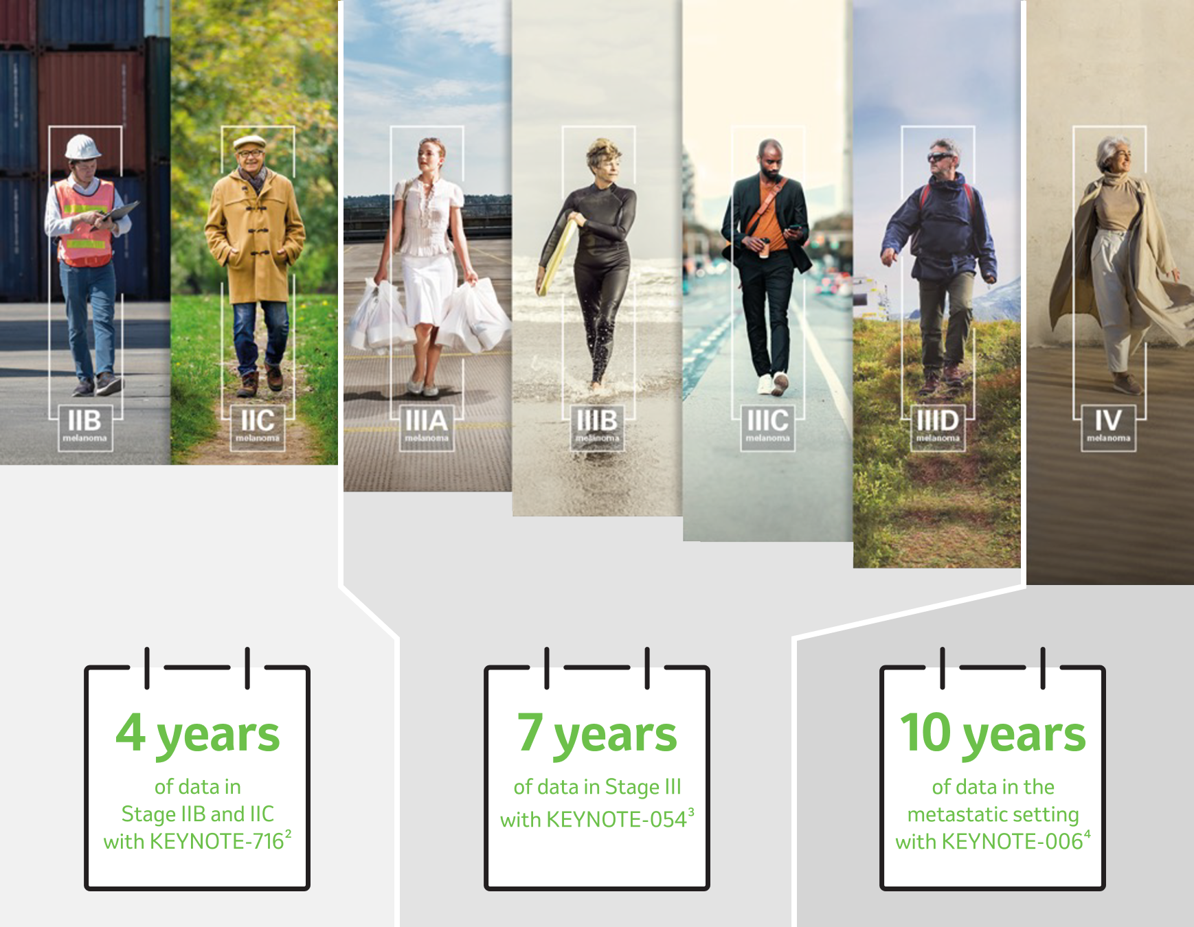 Illustration of six individuals walking, each labeled with a different stage of melanoma: IIB, IIC, IIIA, IIIB, IIIC, and IV. Below them are three boxes highlighting clinical data: '4 years of data in Stage IIB and IIC with KEYNOTE-716', '7 years of data in Stage III with KEYNOTE-054' and '10 years of data in the metastatic setting with KEYNOTE-006'. Each box includes a button labeled 'Explore the data'.