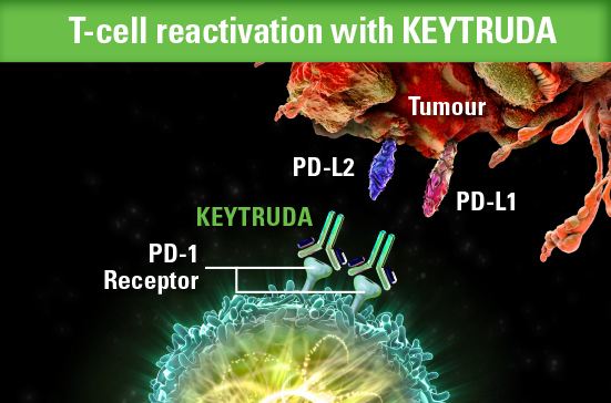 T-cell reactivation with KEYTRUDA