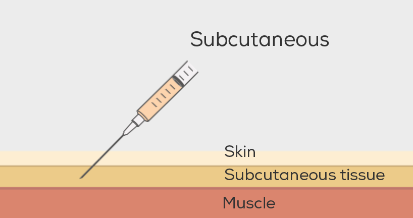 Subcutaneous injections go past the skin into the subcutaneous tissue