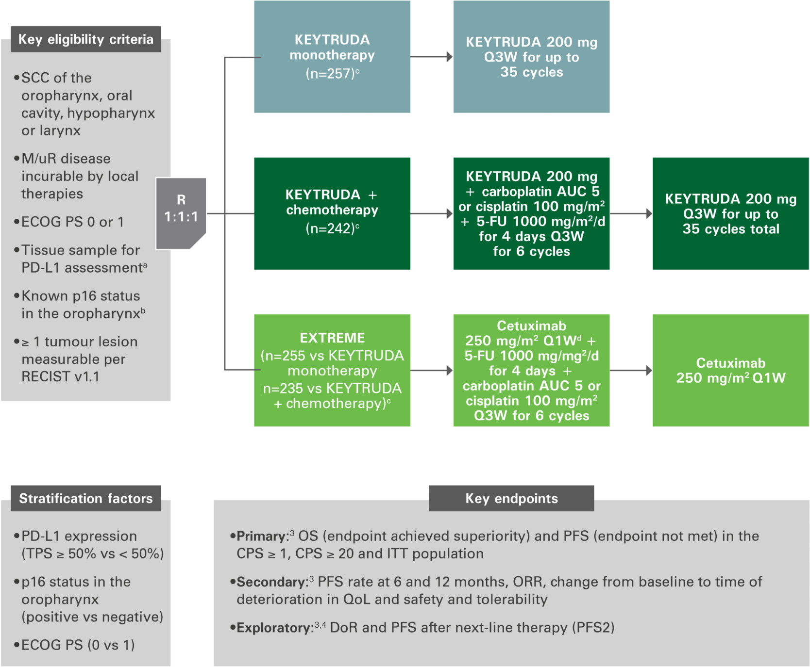 About keytruda plus chemotherapy in hnscc keytruda pembrolizumab 