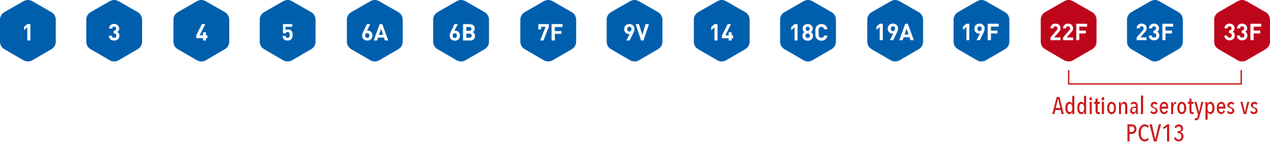 Vaxneuvance includes serotypes 1, 3, 4, 5, 6A, 6B, 7F, 9V, 14, 18C, 19A, 19F, 23F + 22F and 33F