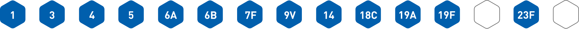 PCV13 contains serotypes 1, 3, 4, 5, 6A, 6B, 7F, 9V, 14, 18C, 19A, 19F, 23F