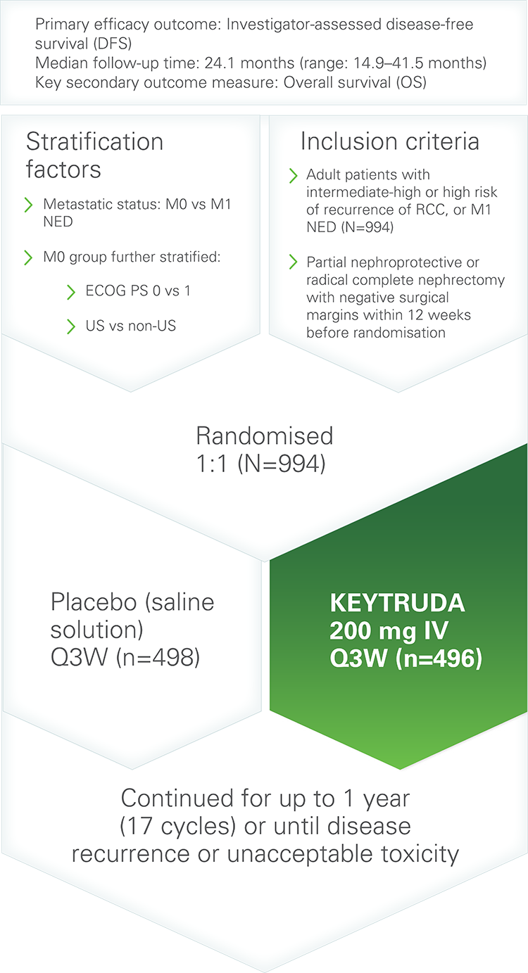 Adjuvant Renal Cell Carcinoma KEYTRUDA MSD Connect UK Renal Study Design Keytruda 375px