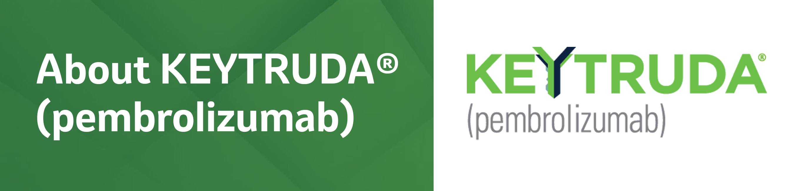 About KEYTRUDA® (pembrolizumab)