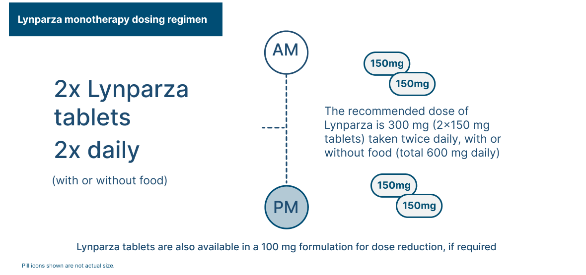 Lynparza + bevacizumab dosing regimen 