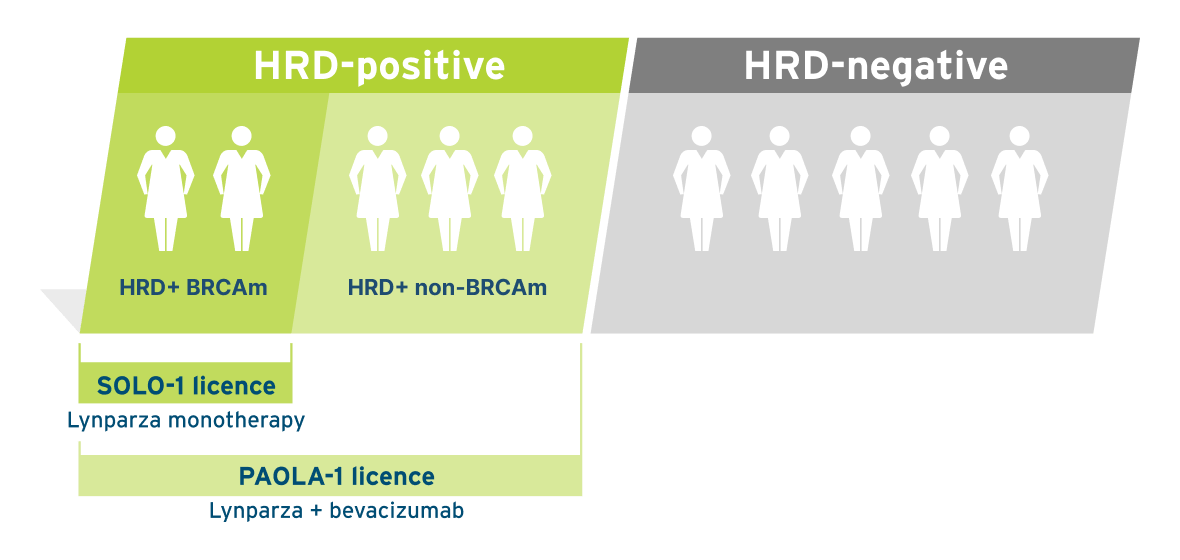 Infographic showing that aOC patients have shorter treatment-free intervals over subsequent lines of therapy without maintenance