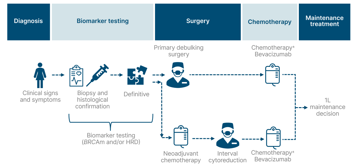 Infographic showing how HRD  testing fits into the ovarian cancer patient pathway